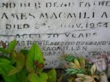image of grave number 245763
